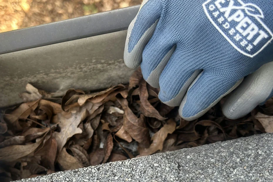 Gutter Cleaning Columbia