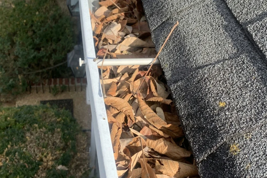 Gutter Cleaning Columbia