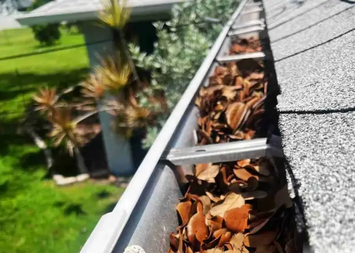 Gutter Cleaning Columbia home page